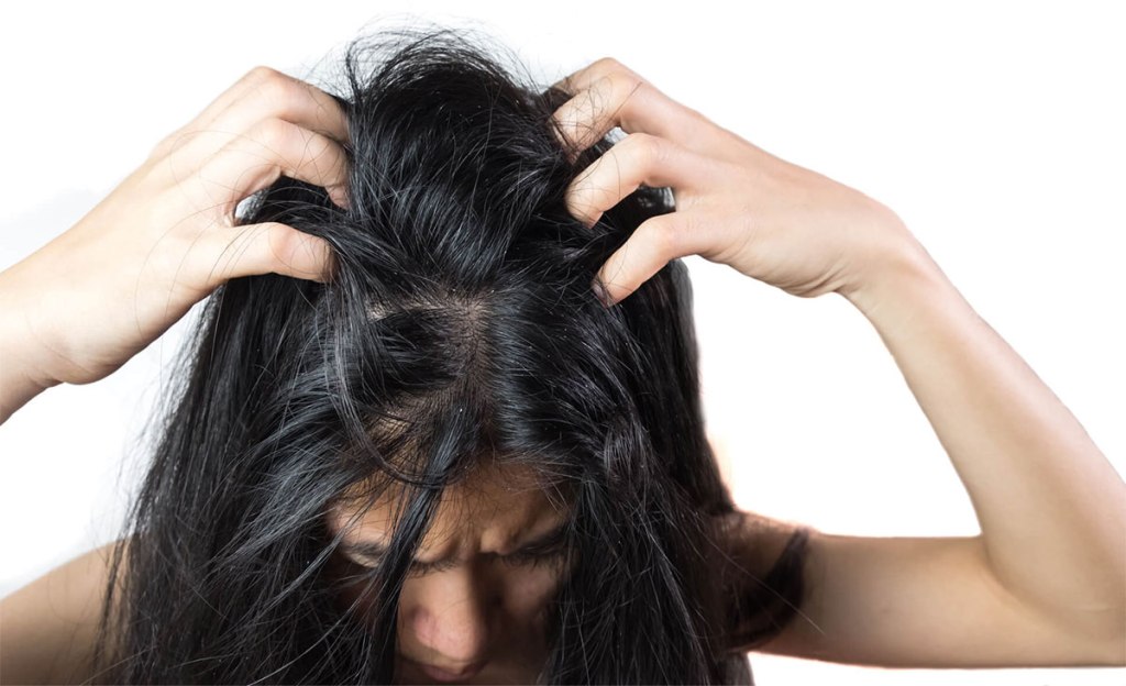 Forfora: Esplorando le differenze e le soluzioni